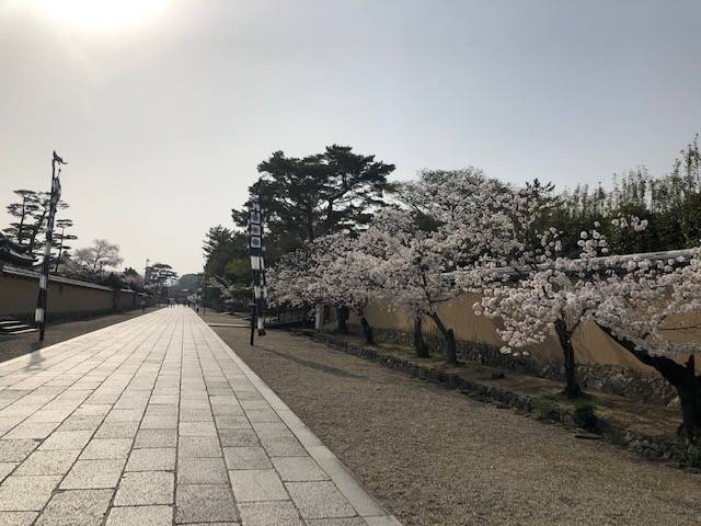 法隆寺