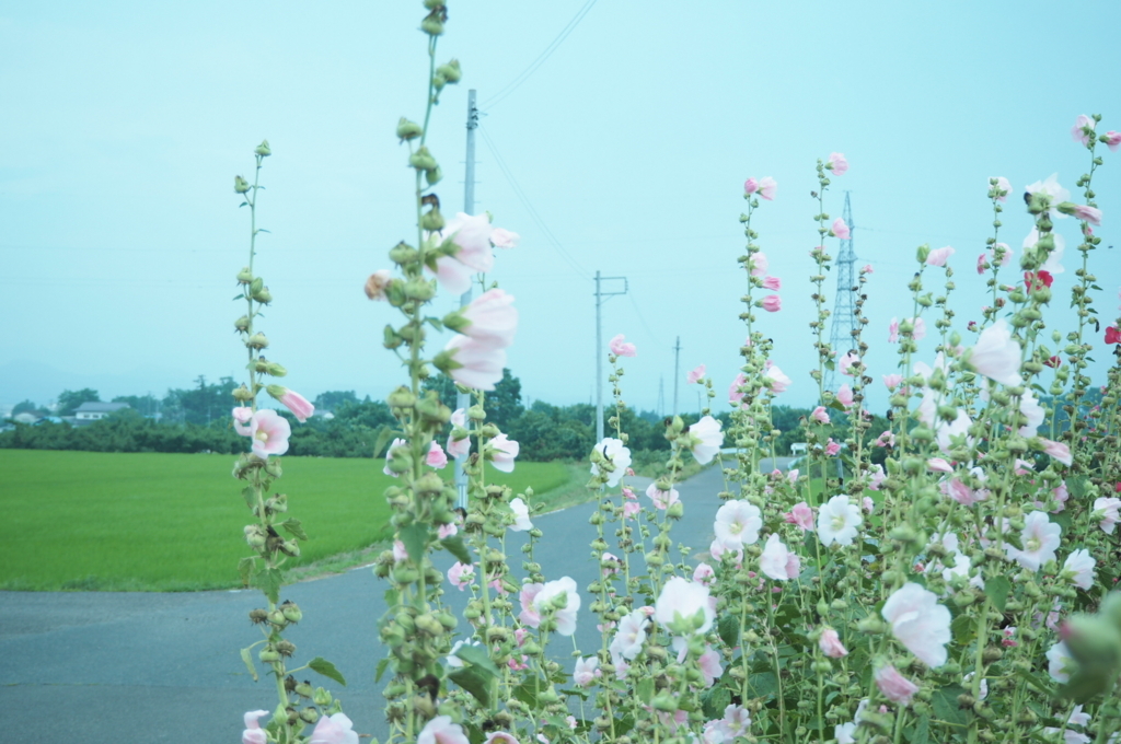 f:id:xo3x5ox:20180821184143j:plain f:id:xo3x5ox:20180821184143j:plain