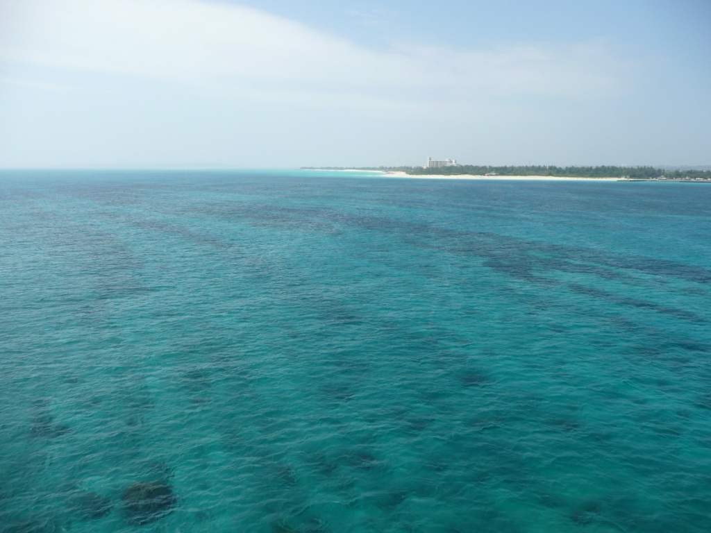 f:id:xoc:20090811151111j:plain