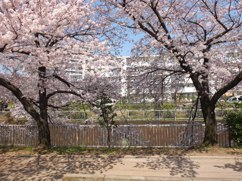 f:id:xoc:20150330113425j:plain