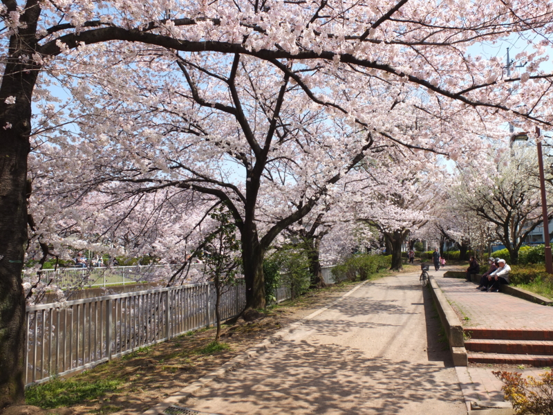 f:id:xoc:20150330114121j:plain