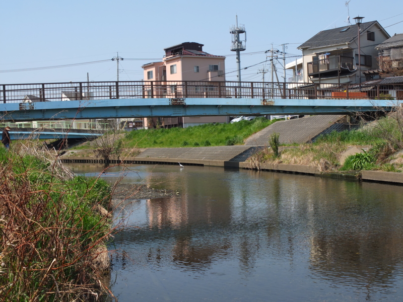 f:id:xoc:20150330123712j:plain