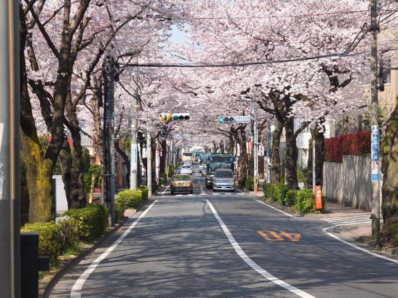 f:id:xoc:20150330144909j:plain