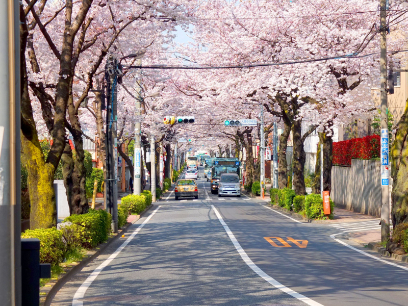 f:id:xoc:20150413093957j:plain f:id:xoc:20150413093957j:plain