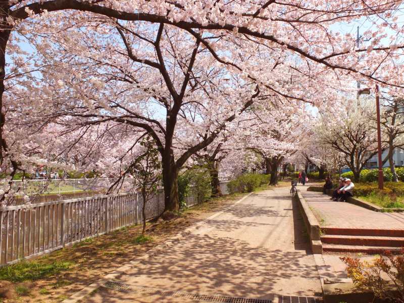 f:id:xoc:20150415133628j:plain f:id:xoc:20150415133628j:plain