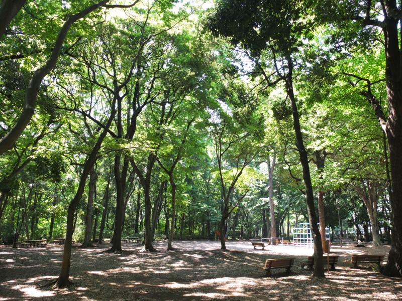 f:id:xoc:20150514134032j:plain