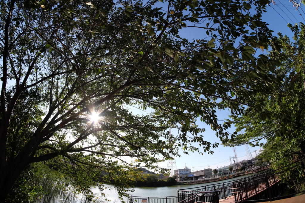 f:id:xoc:20150902155300j:plain