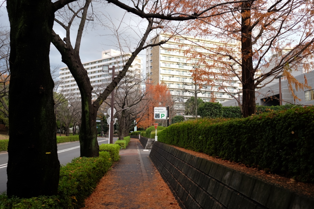 f:id:xoc:20151211154914j:plain