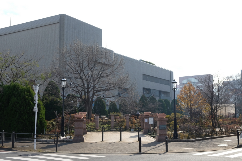 f:id:xoc:20151221102011j:plain
