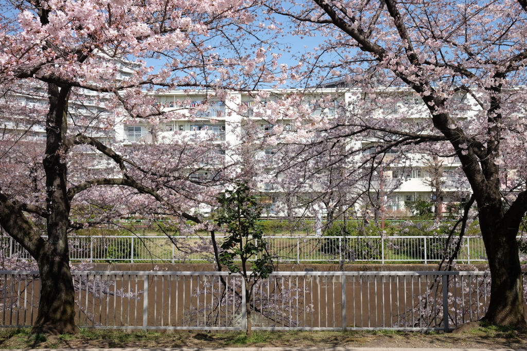 f:id:xoc:20160331101428j:plain