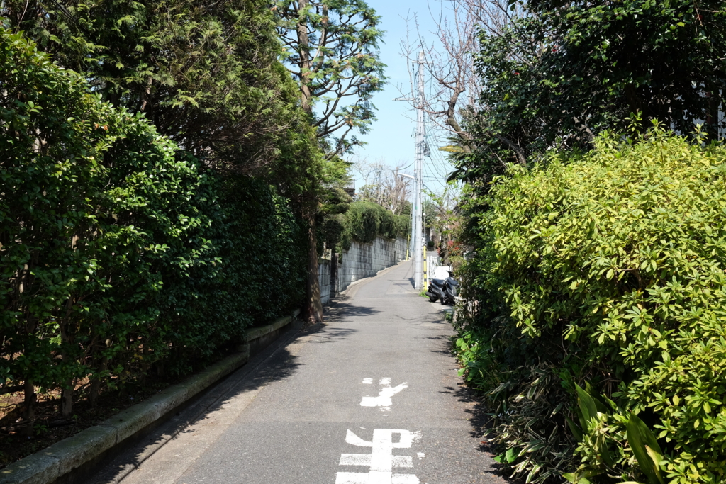 f:id:xoc:20160331105129j:plain