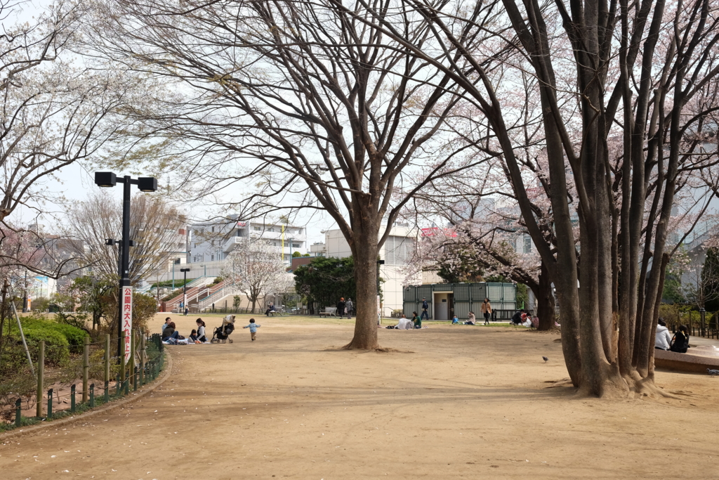f:id:xoc:20160331130428j:plain