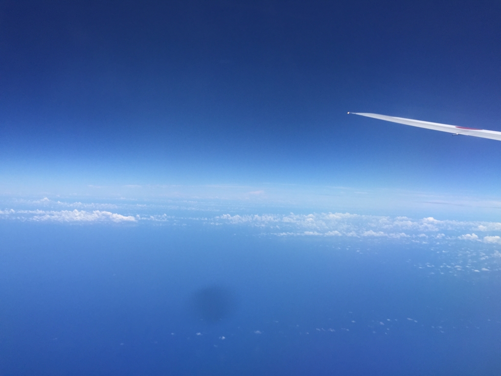 f:id:xoc:20160810120336j:plain