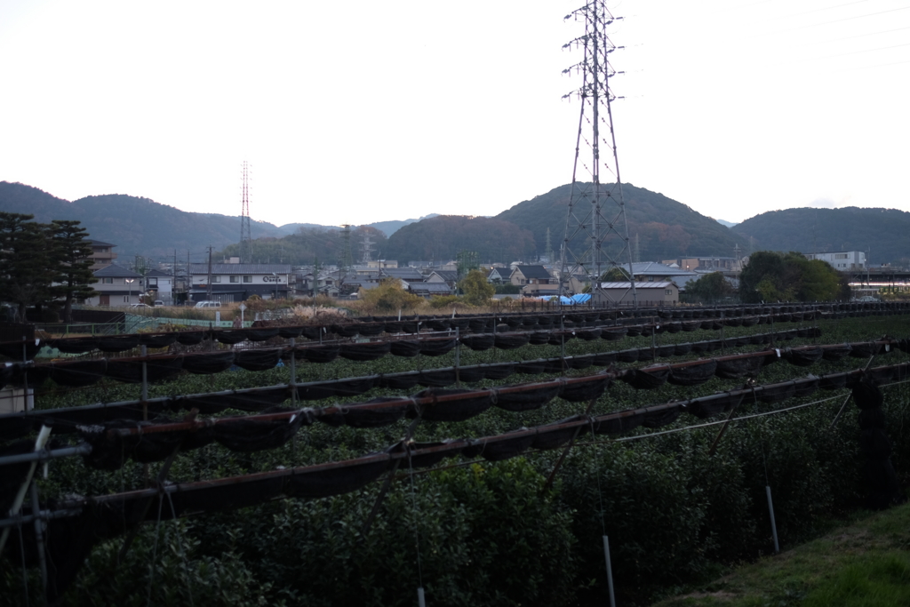 f:id:xoc:20161215070532j:plain