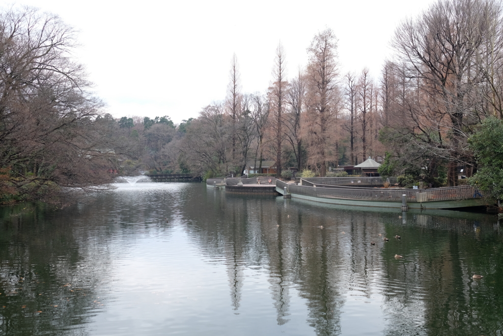 f:id:xoc:20161227144438j:plain