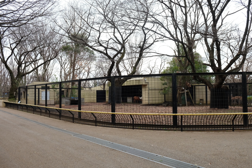 f:id:xoc:20170224113038j:plain