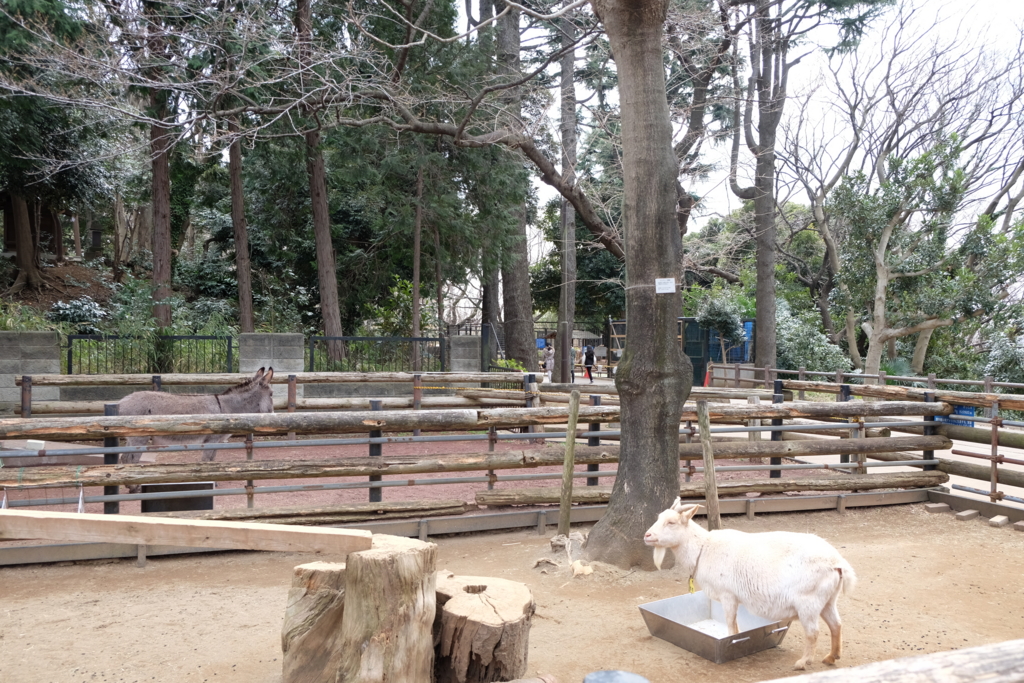 f:id:xoc:20170311105908j:plain