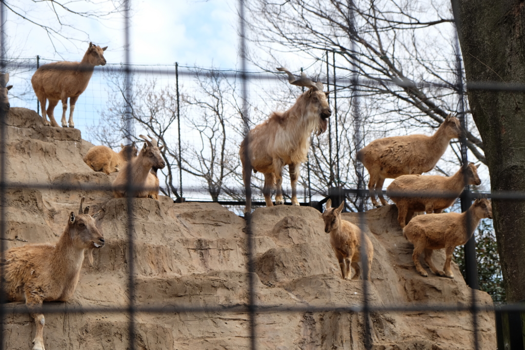 f:id:xoc:20170311110251j:plain