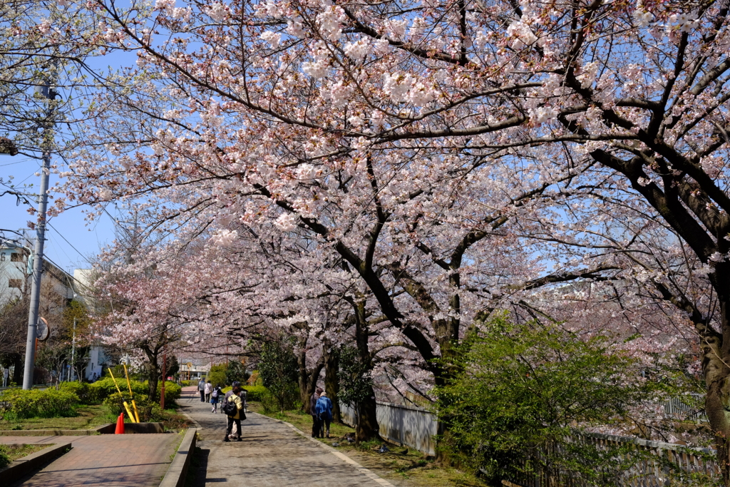 f:id:xoc:20170404103012j:plain f:id:xoc:20170404103012j:plain