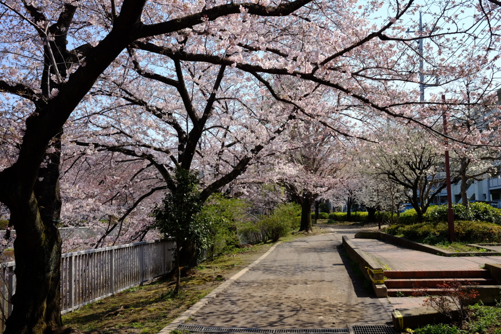 f:id:xoc:20170404103213j:plain f:id:xoc:20170404103213j:plain