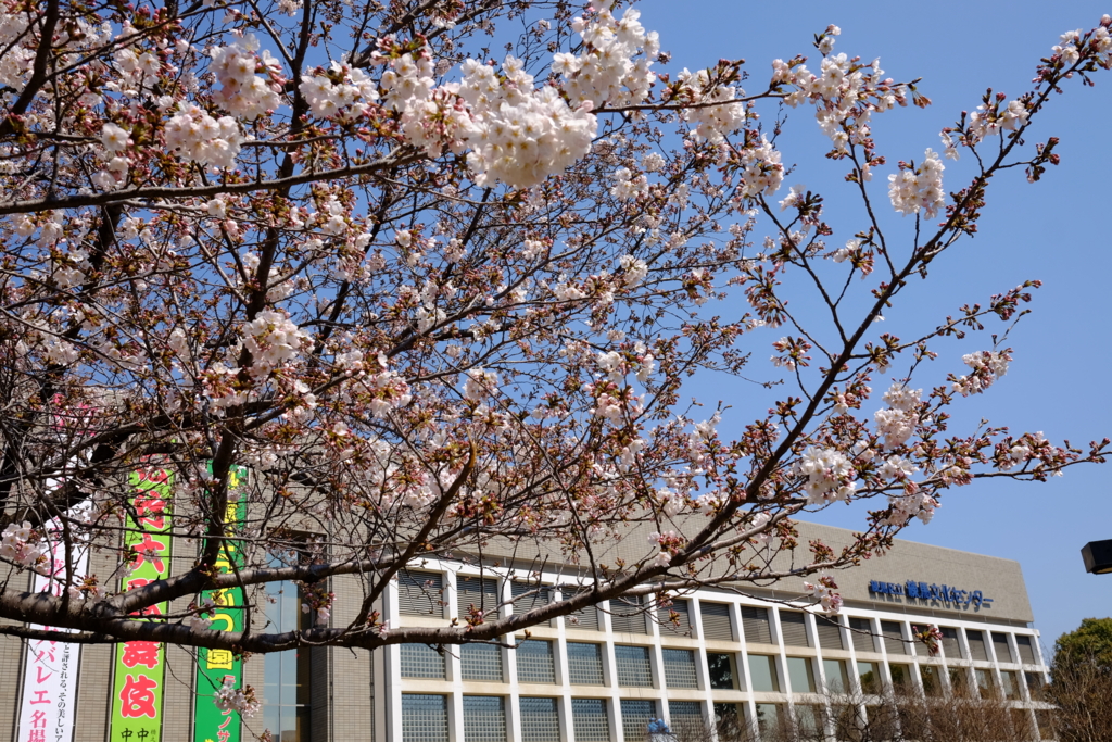 f:id:xoc:20170404110301j:plain f:id:xoc:20170404110301j:plain