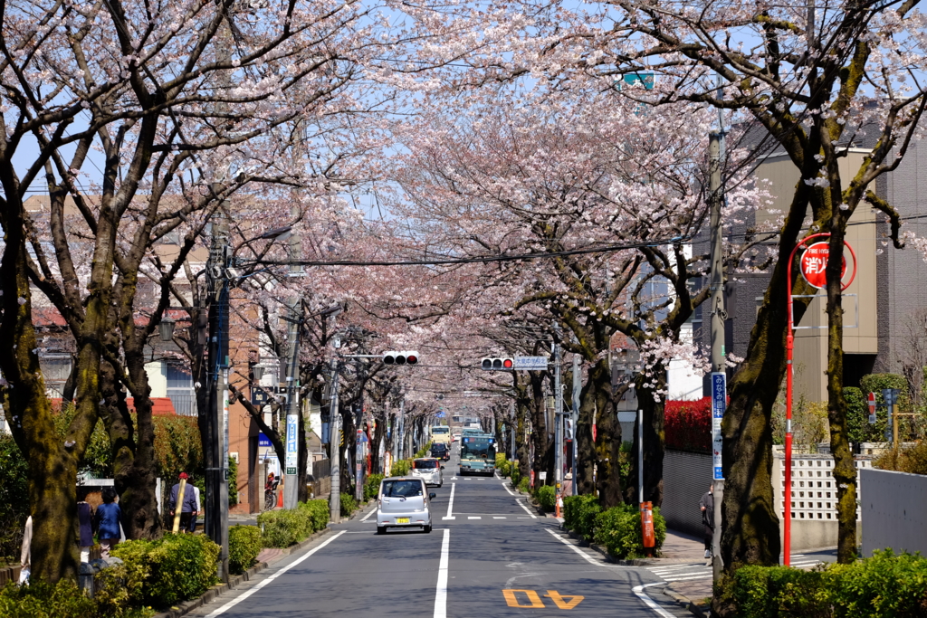 f:id:xoc:20170404121705j:plain f:id:xoc:20170404121705j:plain