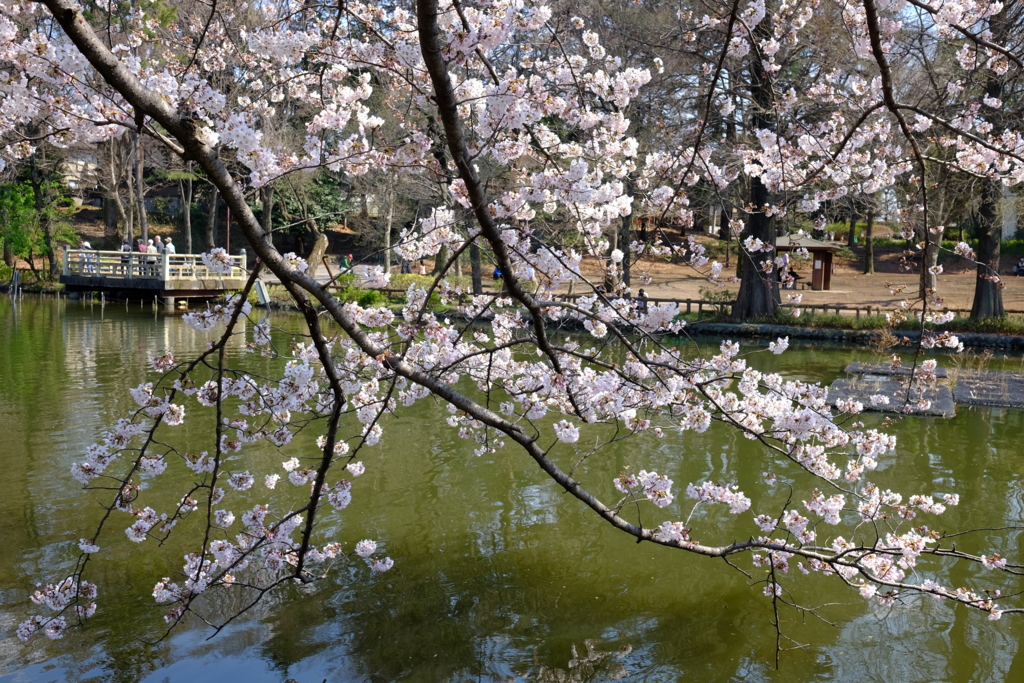 f:id:xoc:20170404131047j:plain f:id:xoc:20170404131047j:plain