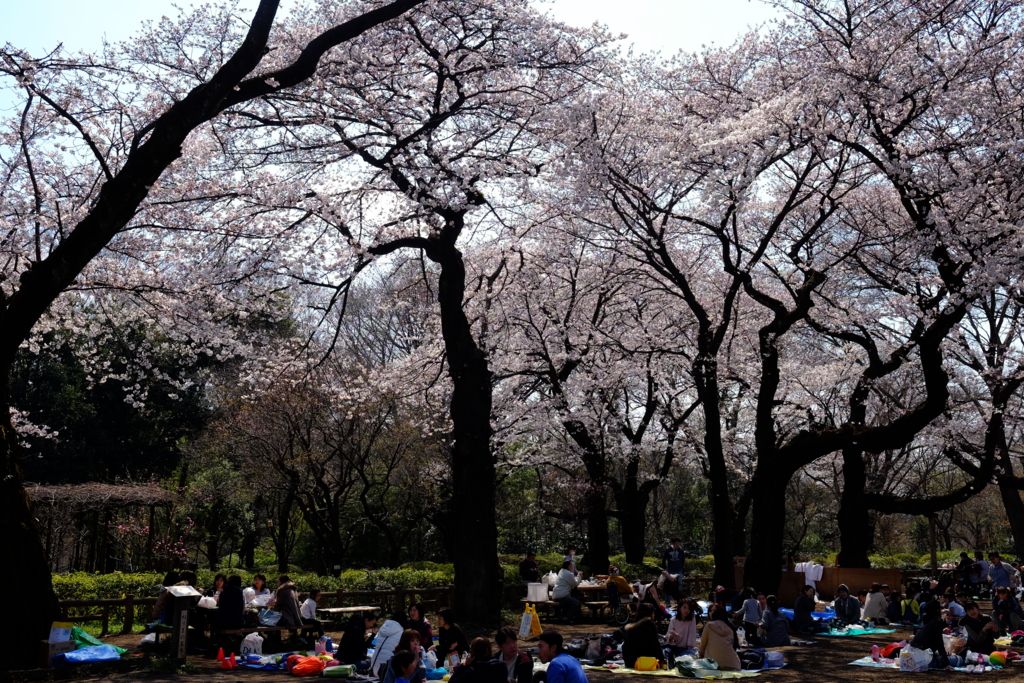 f:id:xoc:20170404131735j:plain f:id:xoc:20170404131735j:plain