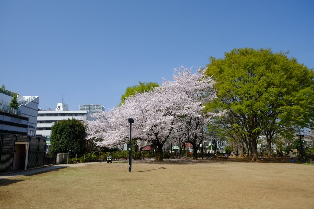 f:id:xoc:20180329094710j:plain