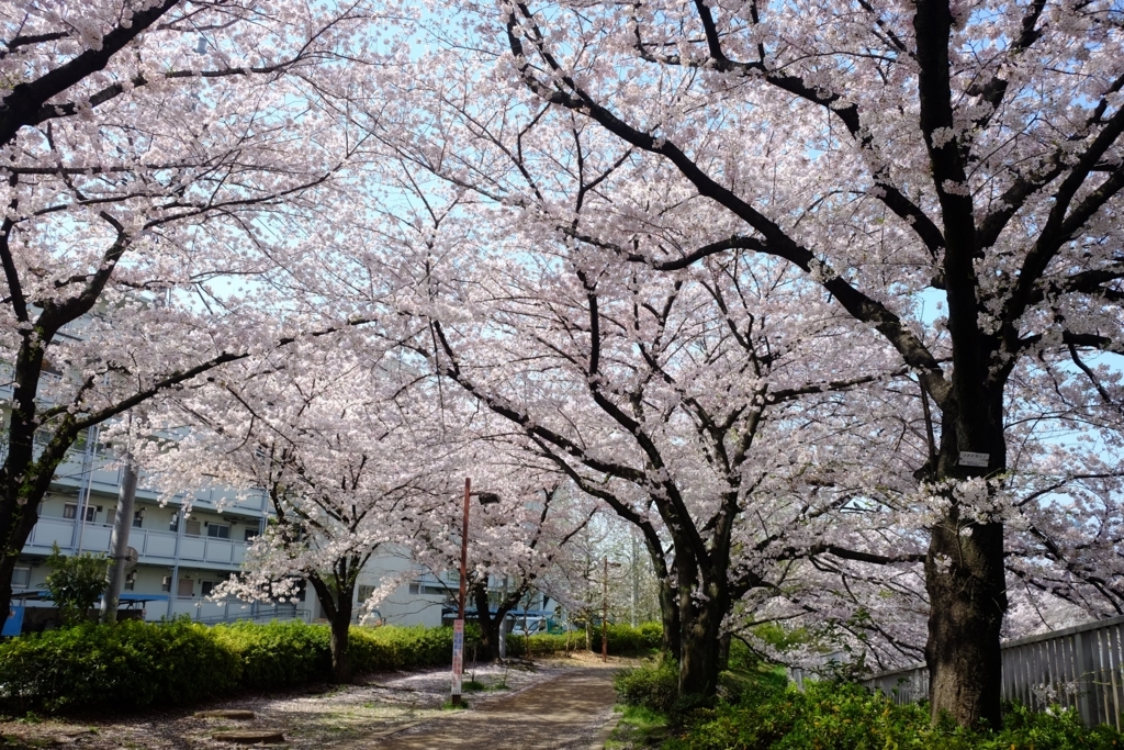 f:id:xoc:20180329100520j:plain