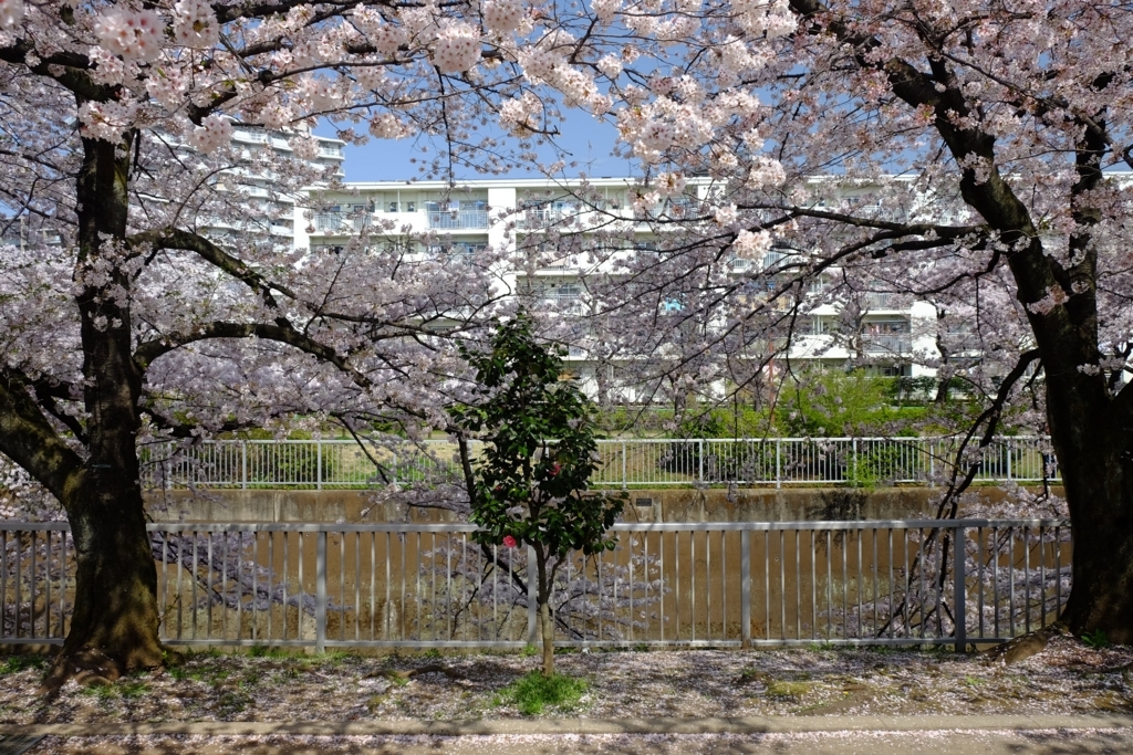 f:id:xoc:20180329100650j:plain