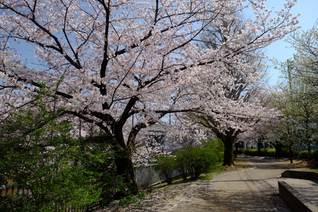 f:id:xoc:20180329101220j:plain