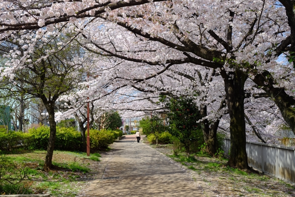 f:id:xoc:20180329101237j:plain