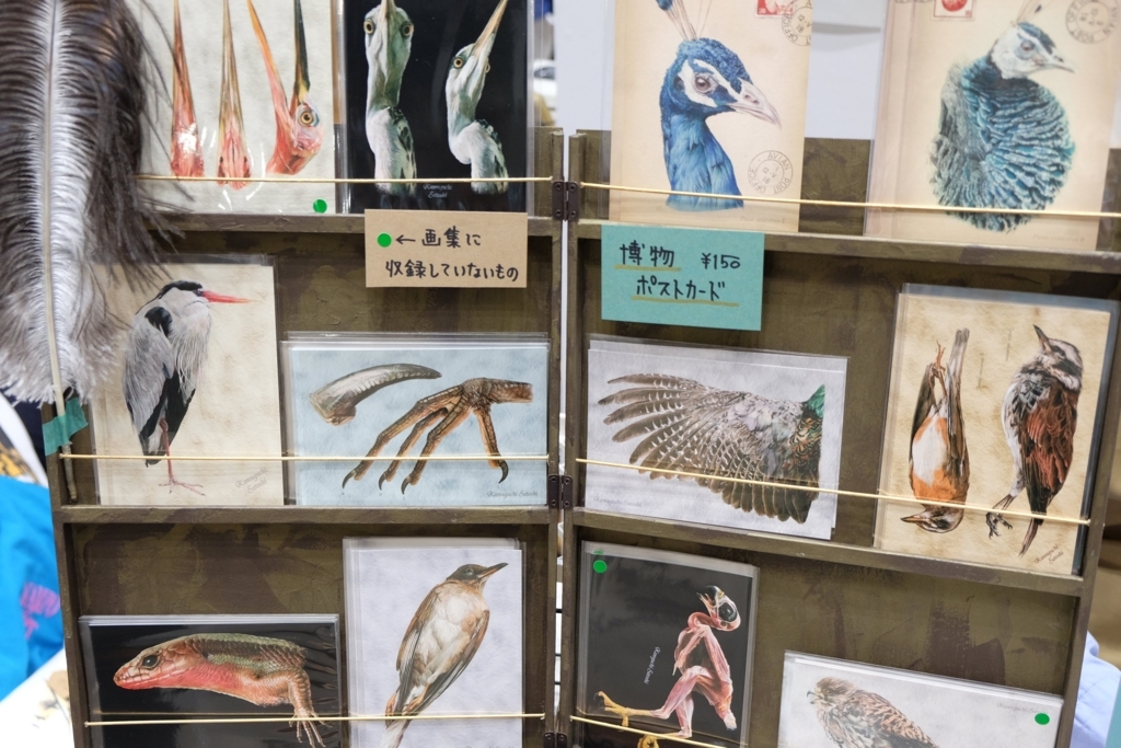 f:id:xoc:20180512171336j:plain