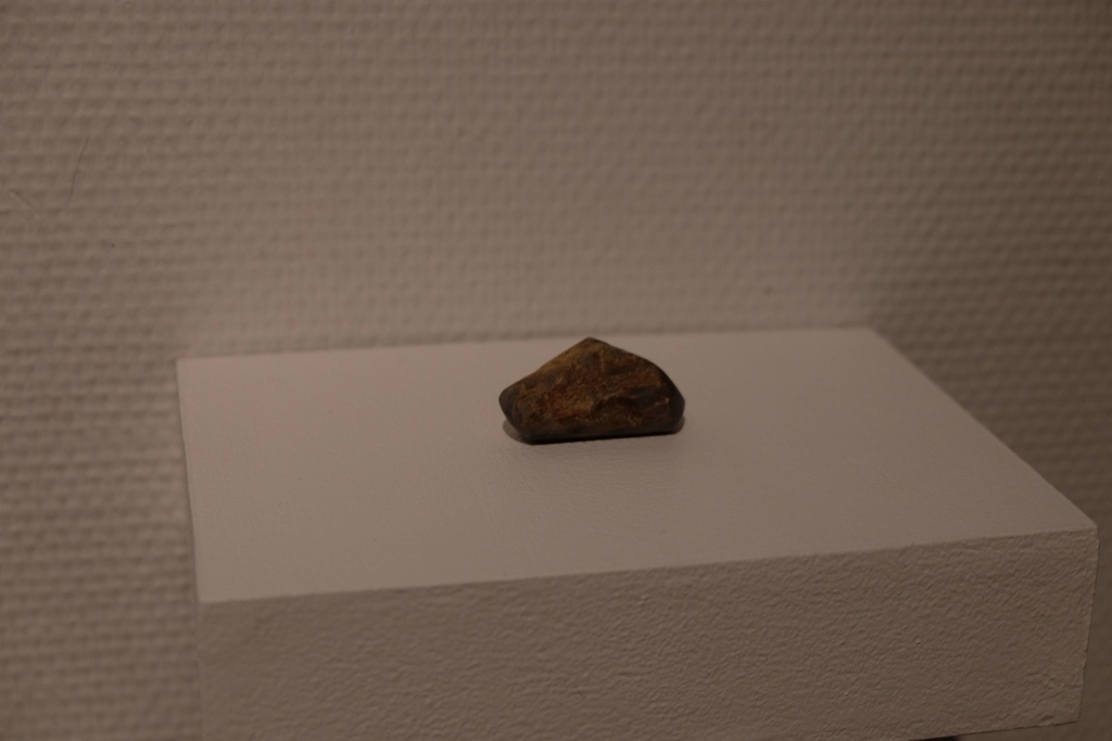 f:id:xoc:20190216115804j:plain f:id:xoc:20190216115804j:plain