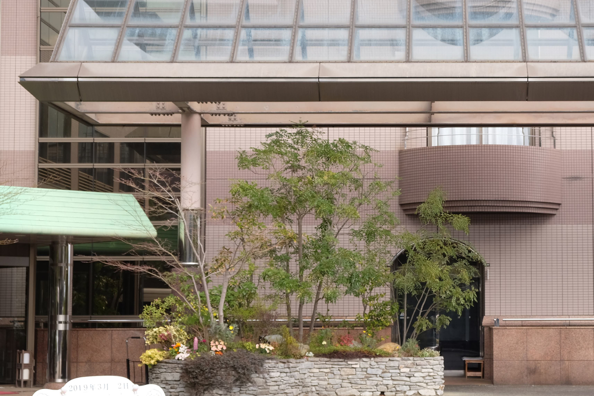 f:id:xoc:20190302093912j:plain f:id:xoc:20190302093912j:plain