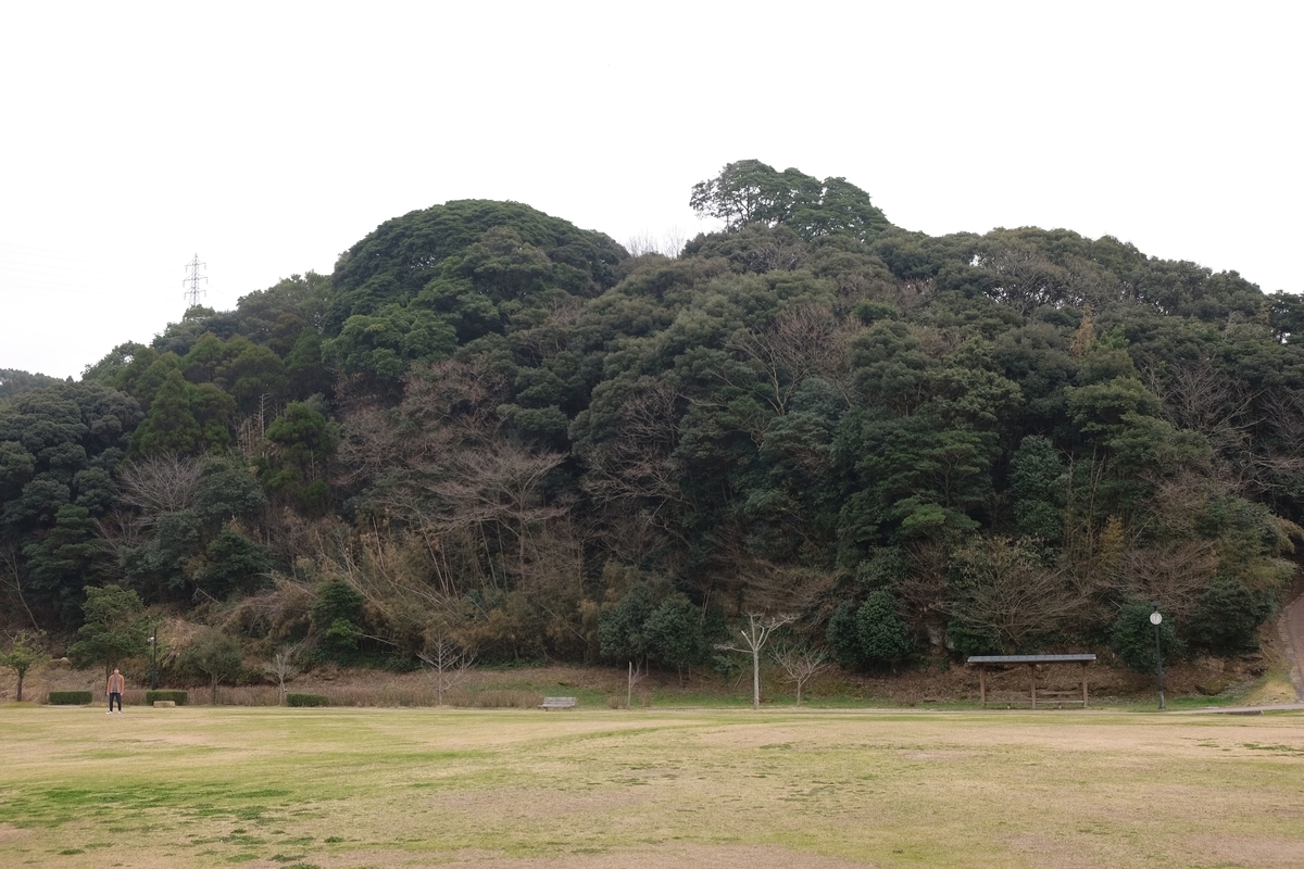 f:id:xoc:20190302120213j:plain f:id:xoc:20190302120213j:plain