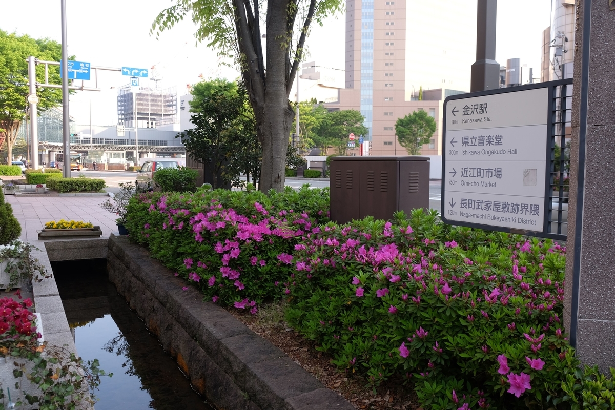 f:id:xoc:20190503063551j:plain f:id:xoc:20190503063551j:plain