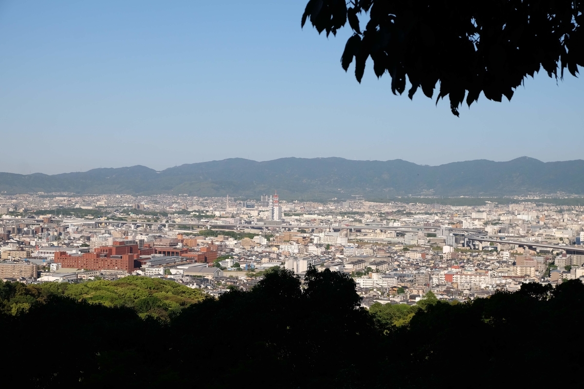 f:id:xoc:20190523062330j:plain f:id:xoc:20190523062330j:plain