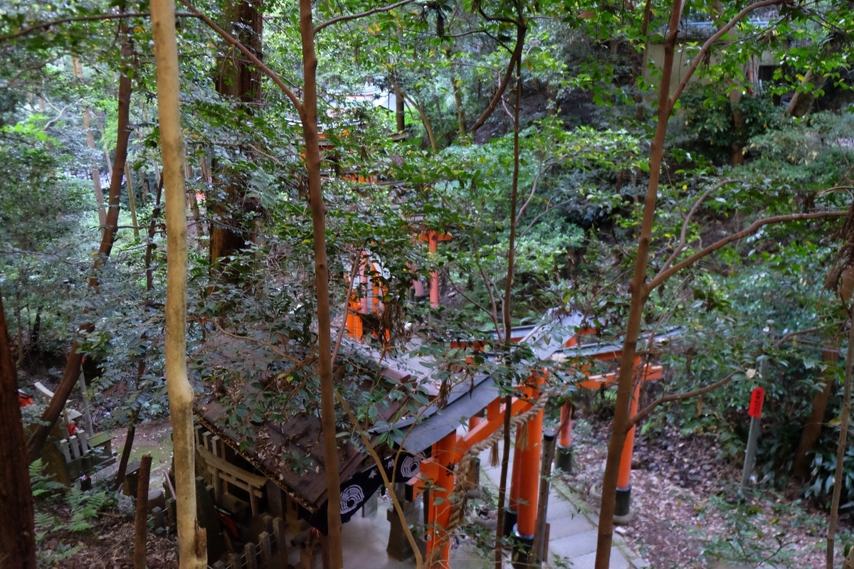 f:id:xoc:20190523064759j:plain f:id:xoc:20190523064759j:plain
