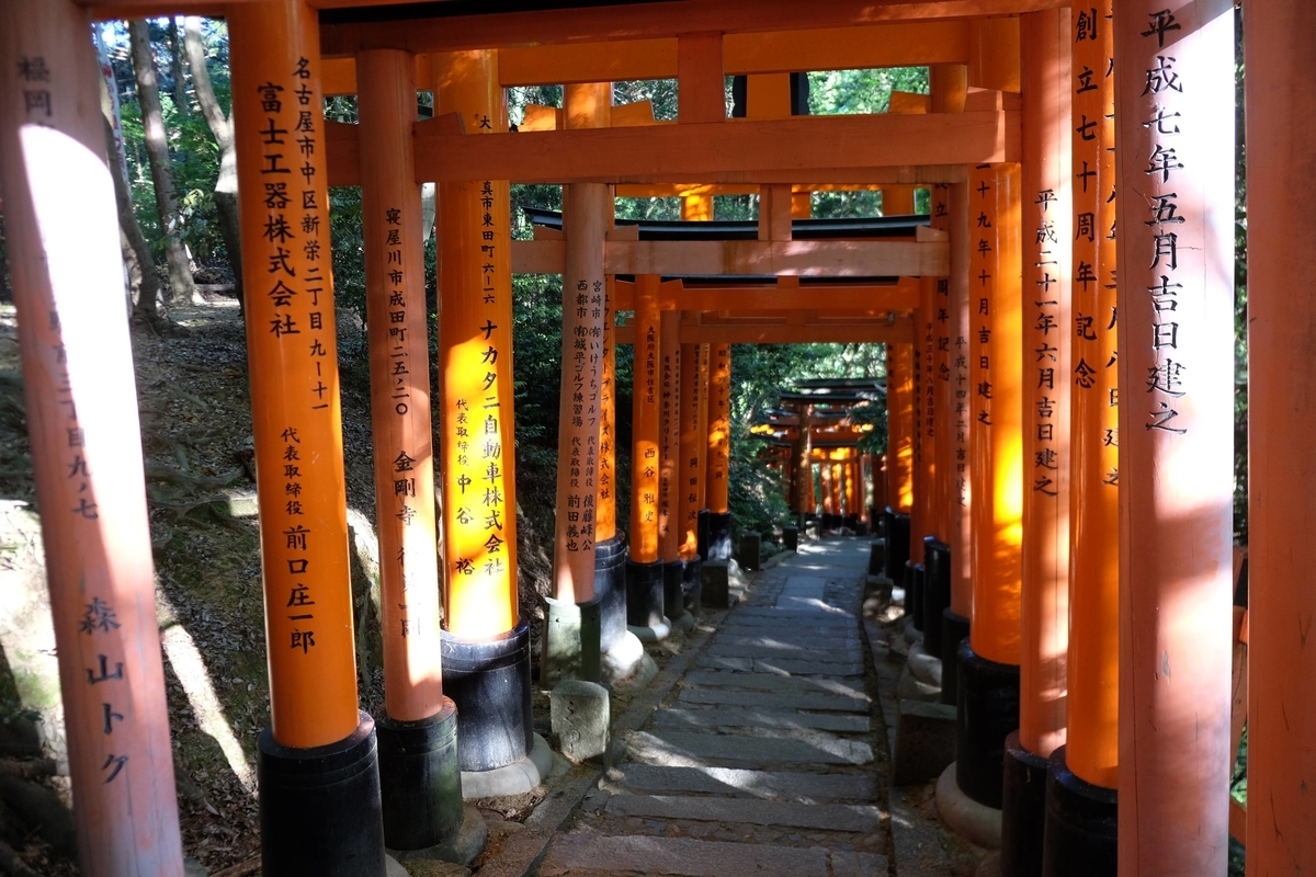 f:id:xoc:20190523064921j:plain f:id:xoc:20190523064921j:plain