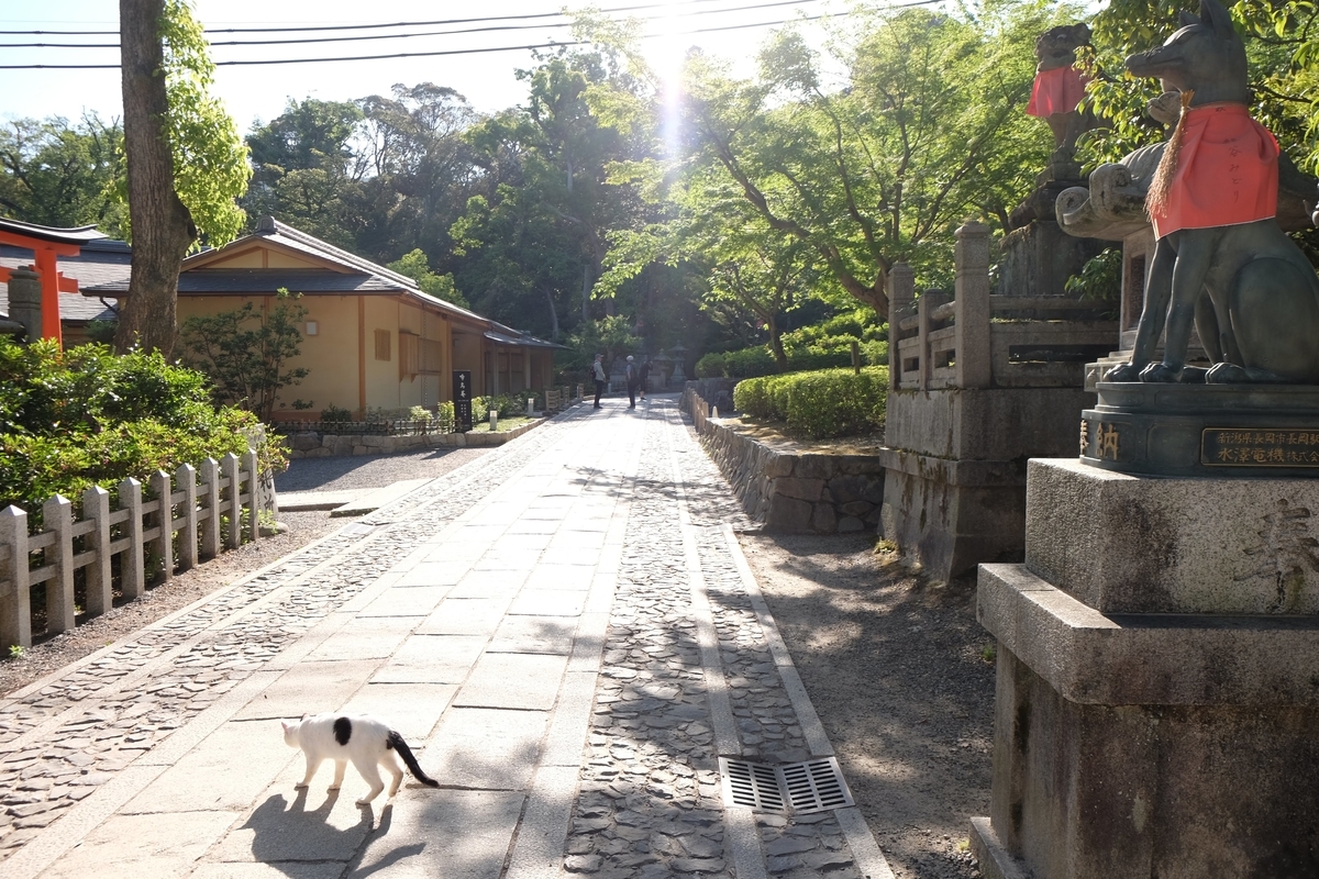 f:id:xoc:20190523071500j:plain f:id:xoc:20190523071500j:plain