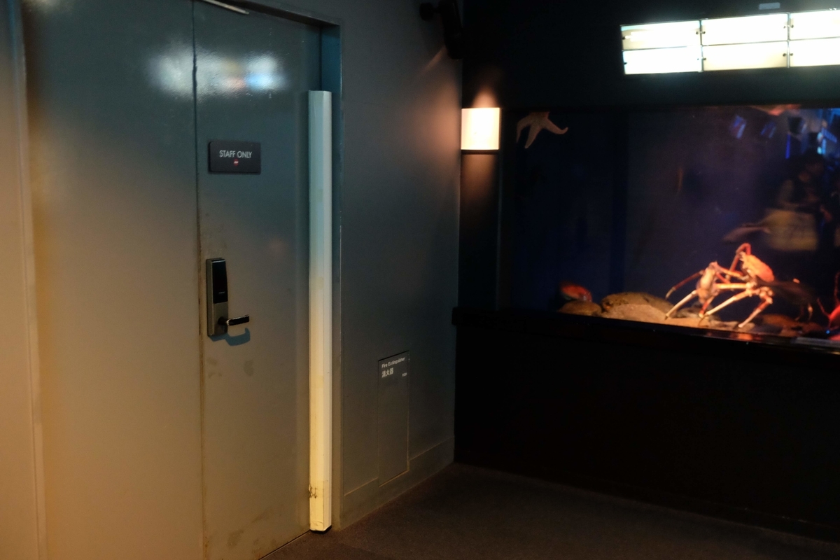 f:id:xoc:20190624124830j:plain