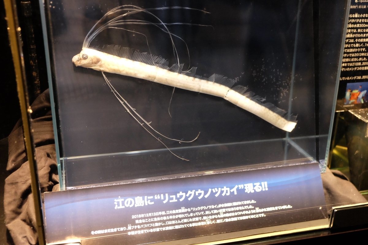 f:id:xoc:20190624125103j:plain