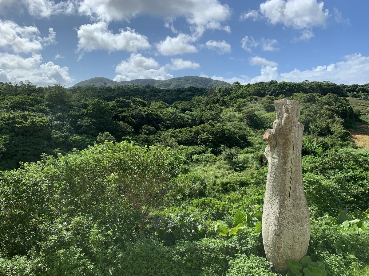 f:id:xoc:20190804154809j:plain
