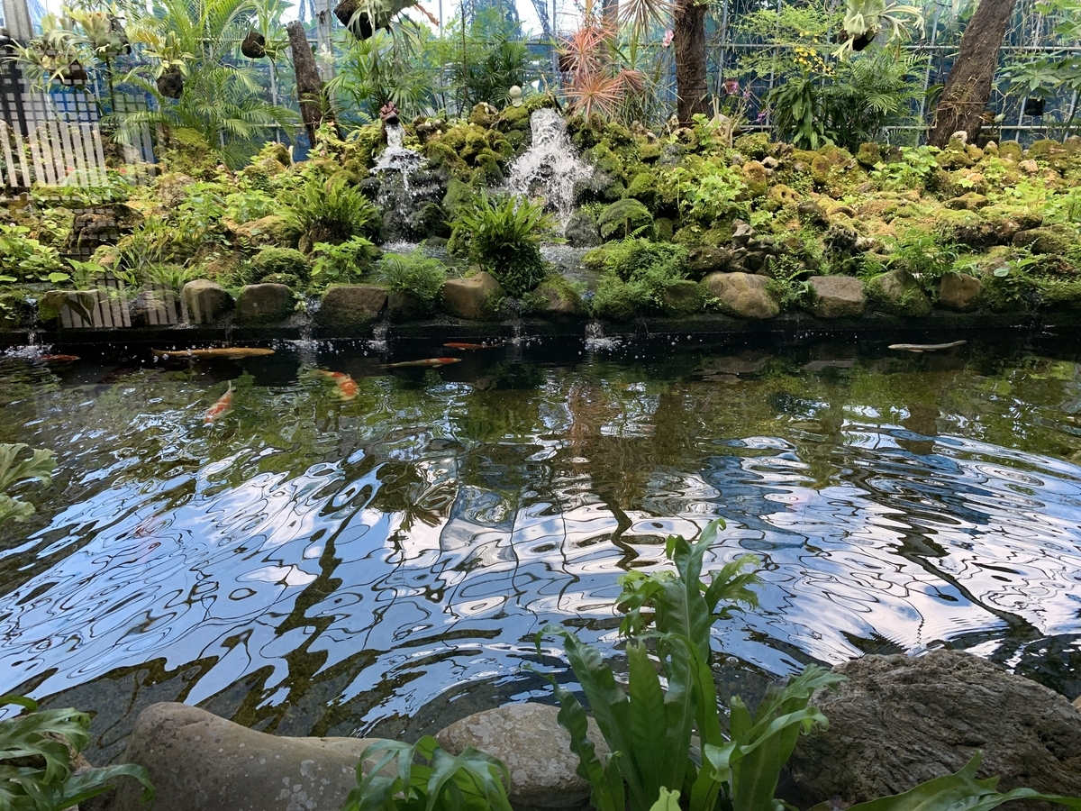 f:id:xoc:20190805133547j:plain