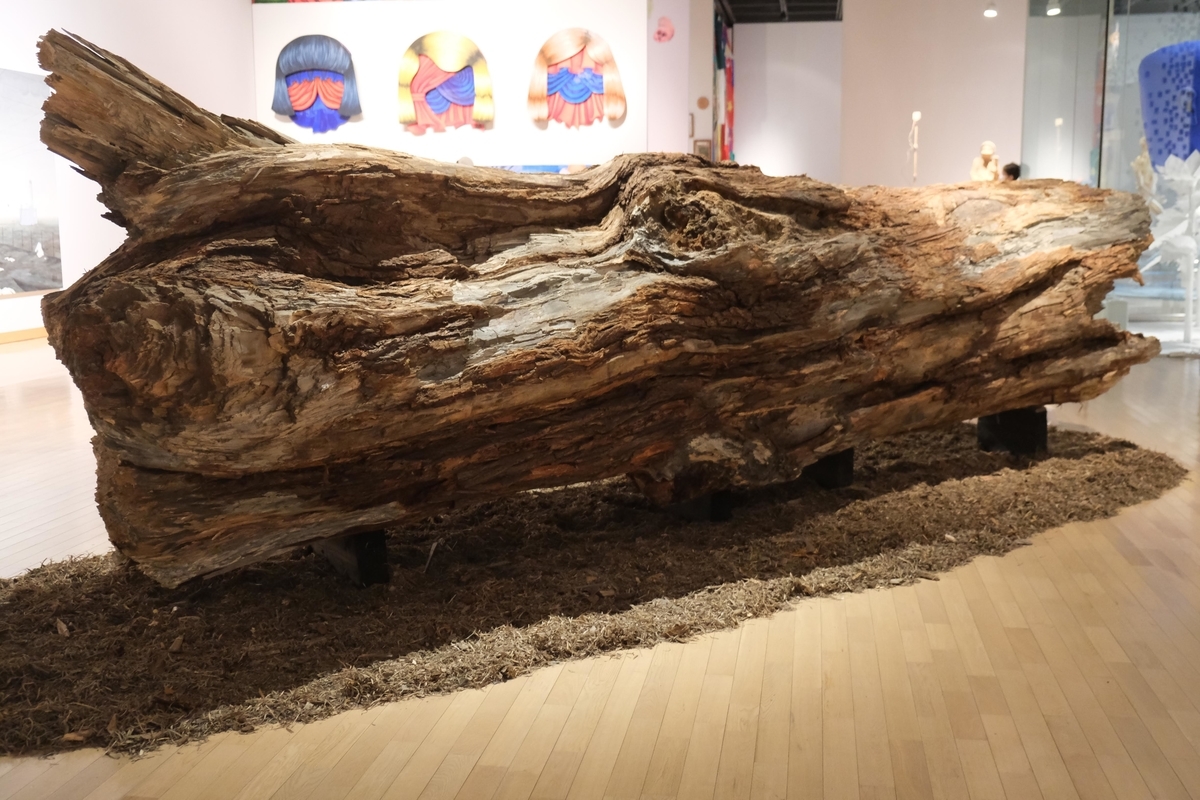 f:id:xoc:20200215105006j:plain f:id:xoc:20200215105006j:plain