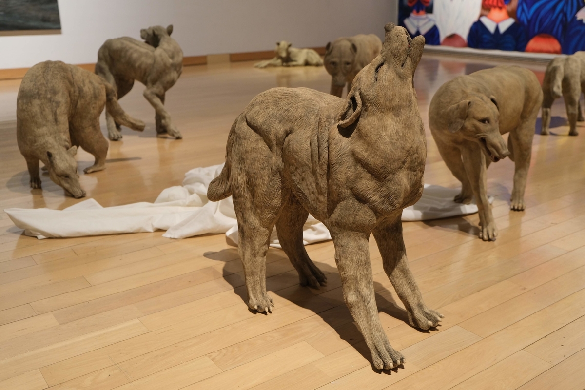 f:id:xoc:20200215105521j:plain f:id:xoc:20200215105521j:plain