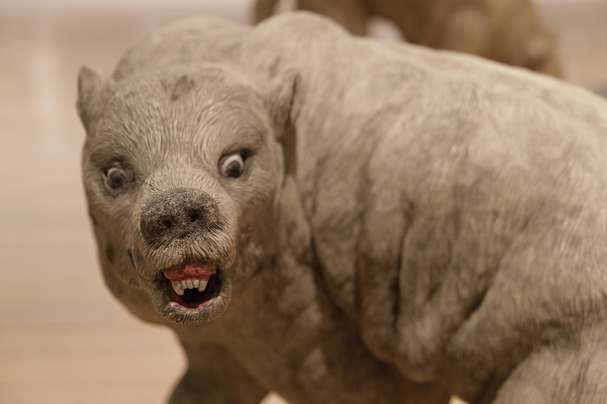 f:id:xoc:20200215105529j:plain f:id:xoc:20200215105529j:plain