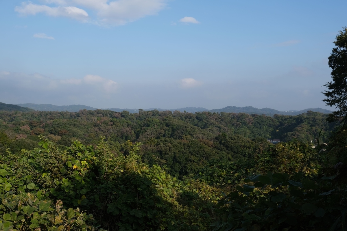 f:id:xoc:20201103145119j:plain